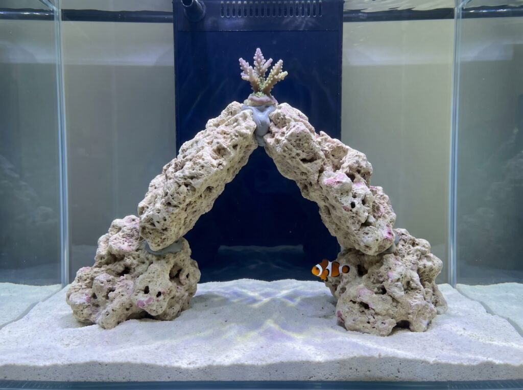 nano reef aquascape with single arch rock formation and open sand bed