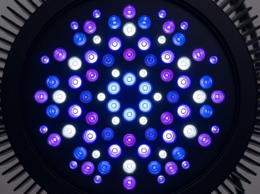Close-up of reef LED fixture diode array showing blue and violet wavelength LEDs