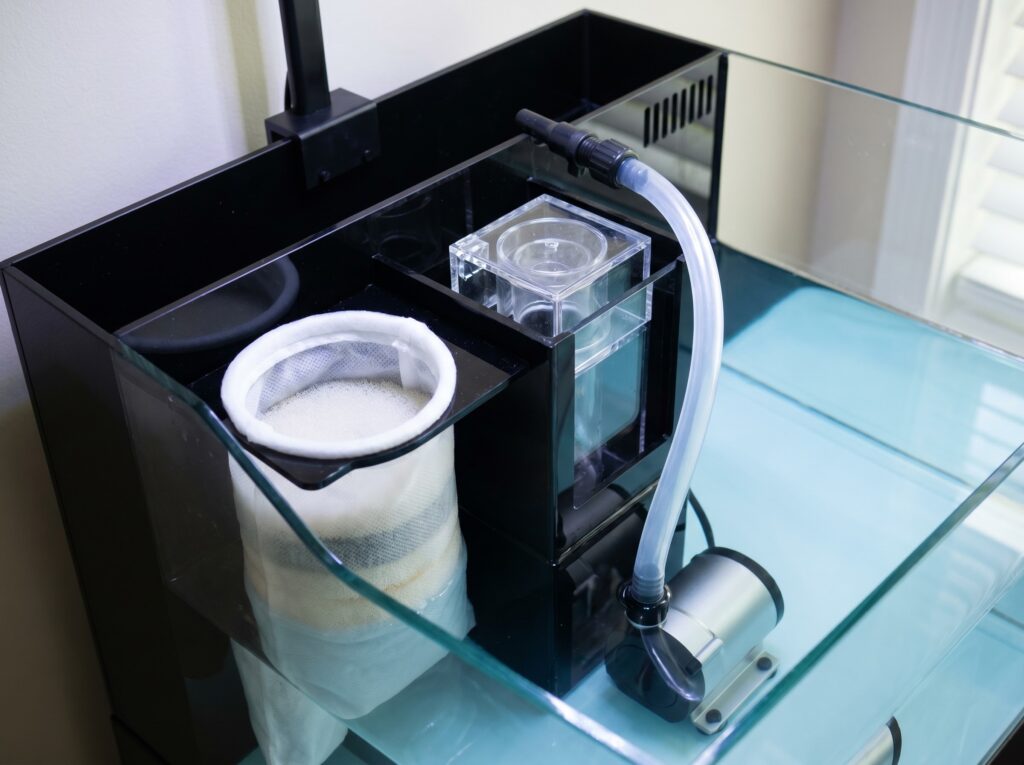 open rear chamber of an all-in-one reef tank showing filter sock pump and skimmer