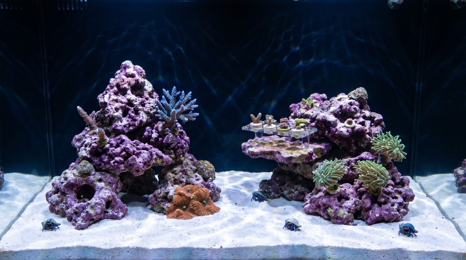 island-style reef tank aquascape with two rock formations and open sand foreground