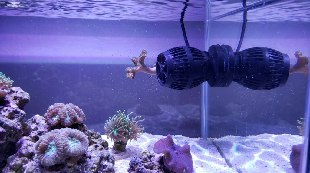 wavemaker mounted on reef tank glass wall creating turbulent flow around soft corals